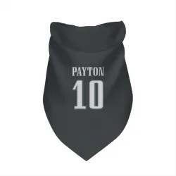Philadelphia Eagles Cole Payton Black Pet Bandana for Dog & Cat