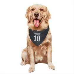 Philadelphia Eagles Cole Payton Black Pet Bandana for Dog & Cat