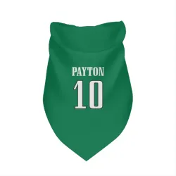 Philadelphia Eagles Cole Payton Kelly Green Pet Bandana for Dog & Cat