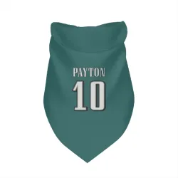 Philadelphia Eagles Cole Payton Midnight Green Pet Bandana for Dog & Cat