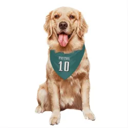 Philadelphia Eagles Cole Payton Midnight Green Pet Bandana for Dog & Cat