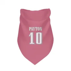 Philadelphia Eagles Cole Payton Pink Pet Bandana for Dog & Cat