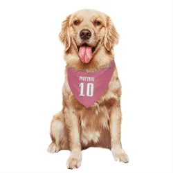 Philadelphia Eagles Cole Payton Pink Pet Bandana for Dog & Cat