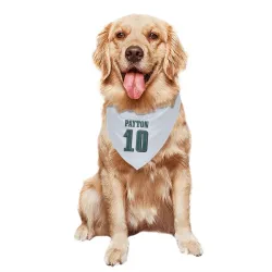 Philadelphia Eagles Cole Payton White Pet Bandana for Dog & Cat