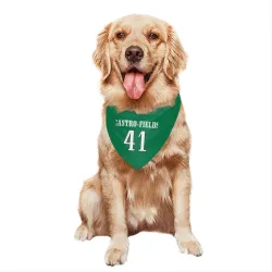 Philadelphia Eagles Tariq Castro-Fields Kelly Green Pet Bandana for Dog & Cat