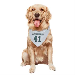 Philadelphia Eagles Tariq Castro-Fields White Pet Bandana for Dog & Cat